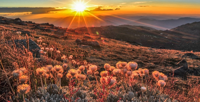 Photographer Spotlight: Mike Edmondson