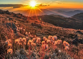 Photographer Spotlight: Mike Edmondson