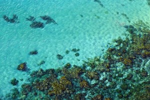 A photo of clear sea water and rocks