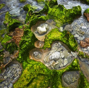 An aerial photo of sea tidal pools