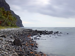 A photo of the seashore with rocks and a mountain
