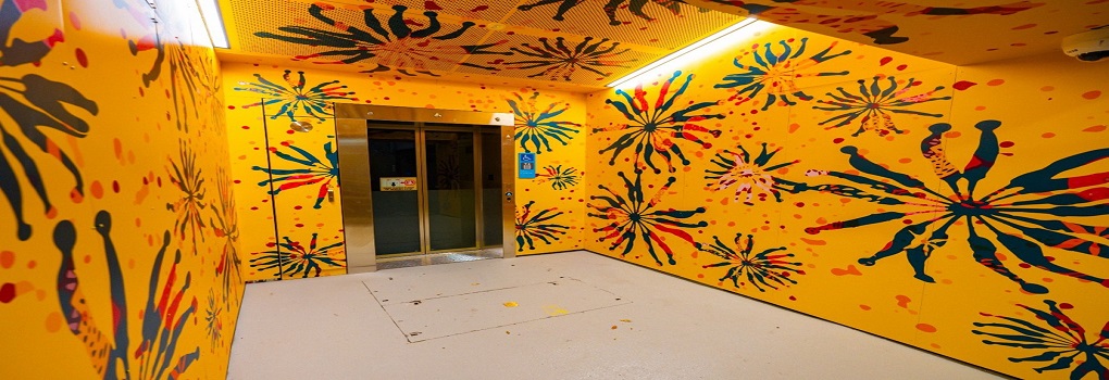 Metal prints featuring art by Maddison Gibbs brightens up Sydney’s Stanmore Train Station